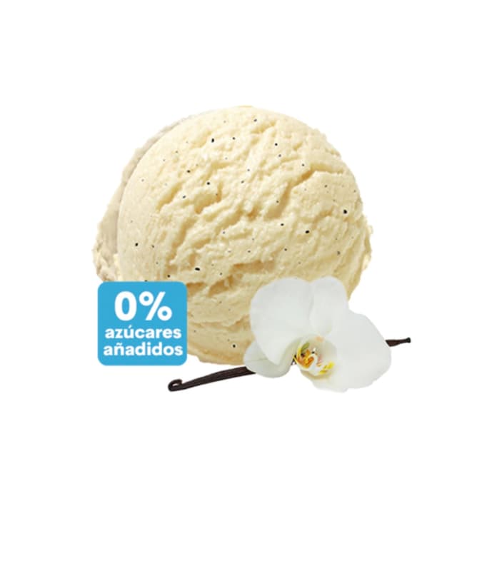 Helado vainilla SIN AZÚCAR (sabor para elegir)